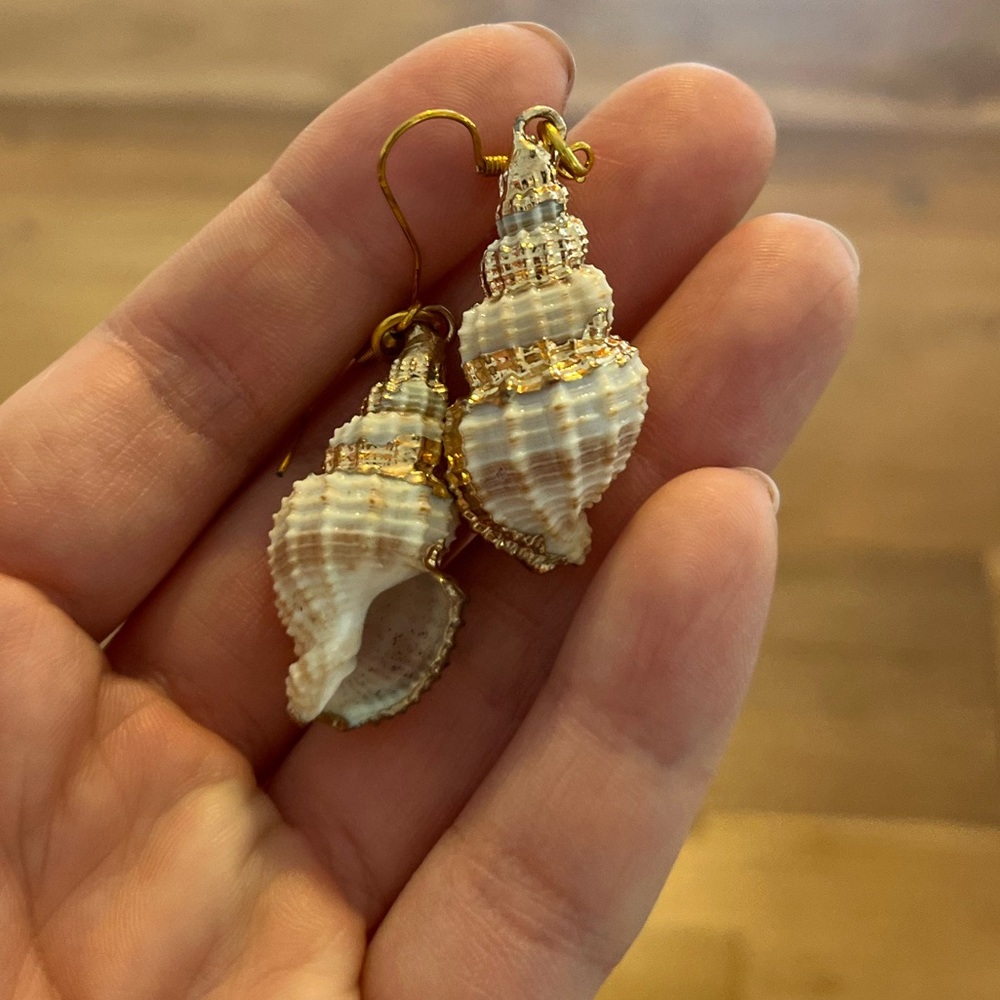 Natural seashell gold dipped earrings